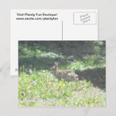 Carte postale Wild Bunny (Devant / Derrière)