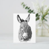 Carte Postale Wild Burro (Debout devant)