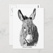 Carte Postale Wild Burro (Devant / Derrière)