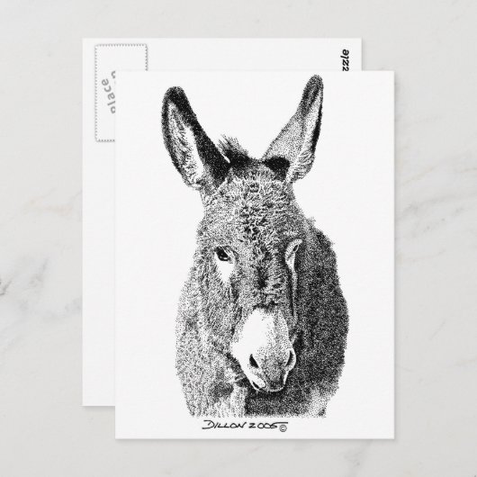 Carte Postale Wild Burro (Devant / Derrière)