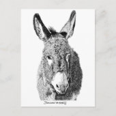 Carte Postale Wild Burro (Devant)