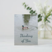 Carte postale Wild Duck (Debout devant)