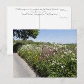 Carte Postale Wild flowers Herefordshire (Devant / Derrière)