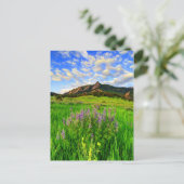 Carte Postale Wild For you (Debout devant)