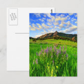Carte Postale Wild For you (Devant / Derrière)