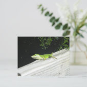 Carte Postale Wild Green Gecko (Debout devant)