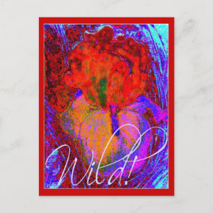 CARTE POSTALE WILD IRIS POSTCARD