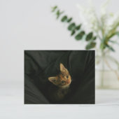 Carte Postale Wild L. (Debout devant)