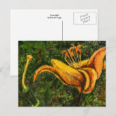 Carte postale "Wild Lily" (Devant / Derrière)