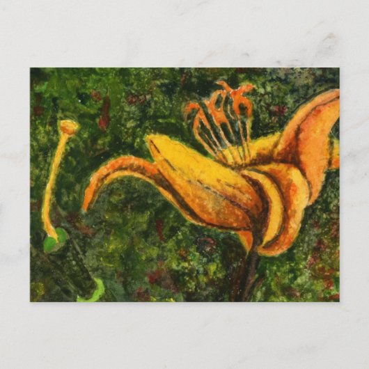 Carte postale "Wild Lily" (Devant)