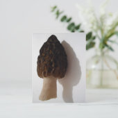 Carte postale Wild Morel Mushroom (Debout devant)