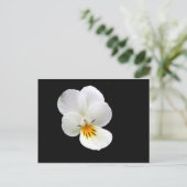 Carte postale Wild Pansy (Debout devant)