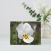 Carte postale Wild Pansy (Debout devant)