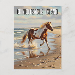 Carte Postale Wild Pony in Chincoteague Island Virginia Travel