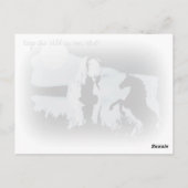 Carte postale Wild Stallion (Dos)