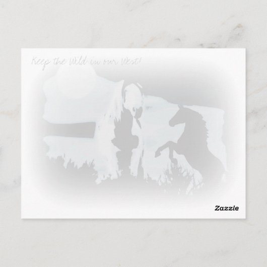 Carte postale Wild Stallion (Dos)