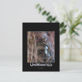 Carte Postale Wild Tabby Cat Demotivation Animal (Debout devant)