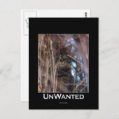 Carte Postale Wild Tabby Cat Demotivation Animal (Devant / Derrière)