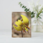 Carte Postale Wild Trout Lily Flower And Friend Personalized (Debout devant)