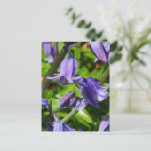 Carte postale Wild Woodlands Bluebell Fleurs (Debout devant)