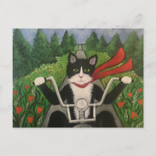 Carte Postale Wildboy monte à nouveau