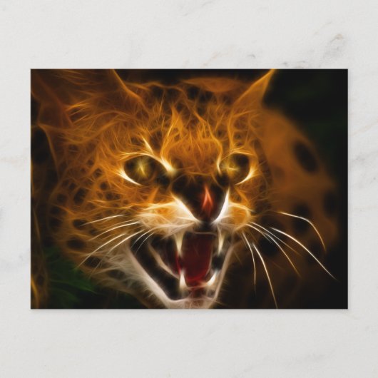 Carte Postale Wildcat (Devant)