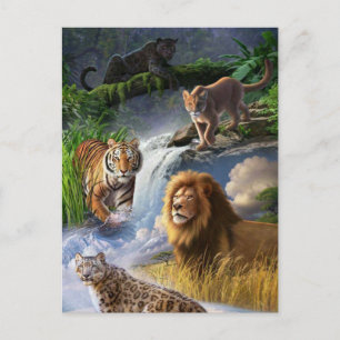 Carte Postale Wildcats