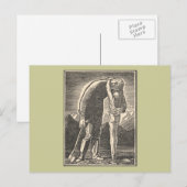 Carte Postale Wilderness Embrasser (Devant / Derrière)