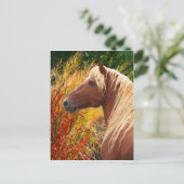 Carte postale "Wildfire" (Debout devant)