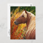 Carte postale "Wildfire" (Devant / Derrière)