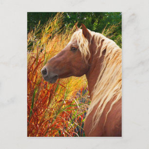 Carte postale "Wildfire"