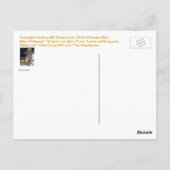 Carte Postale Wildkamel, chameau sauvage * Tierkunst * Animal-AR (Dos)