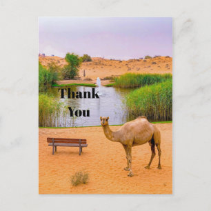 Carte Postale Wildlife Camel Oasis Merci photo