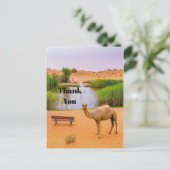 Carte Postale Wildlife Camel Oasis Merci photo (Debout devant)