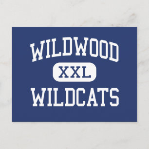 Carte Postale Wildwood - Wildcats - High - Wildwood Florida
