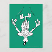 Carte Postale Wile E. Bombe de plongée Coyote (Devant)