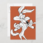 Carte Postale WILE E. COYOTE™ A L'Air Agréable (Devant / Derrière)
