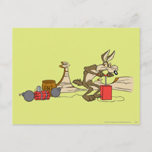 CARTE POSTALE WILE E. COYOTE™ ACME TNT