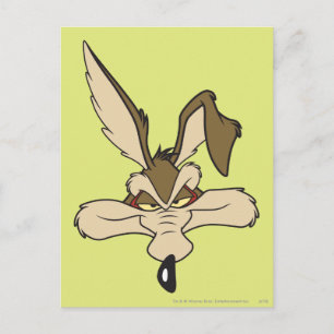 Carte Postale WILE E. COYOTE™ Blessé à la tête