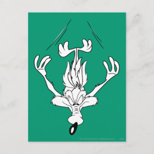 Carte Postale Wile E. Coyote Dive Bomb