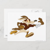 Carte Postale WILE E. COYOTE™ Football (Devant / Derrière)