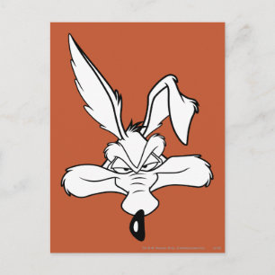 Carte Postale WILE E. COYOTE™ Happy Head Shot