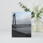 Carte Postale Willemsbrug, Rotterdam (Debout devant)
