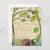 Carte Postale William Blake | Le Rose malade, des chansons d'Inn (Devant / Derrière)
