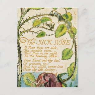 Carte Postale William Blake   Le Rose malade, des chansons d'Inn