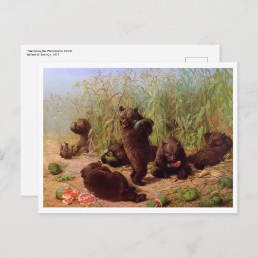 Carte Postale William H. Beard, Les ours dans le champ de pastèq (Devant / Derrière)
