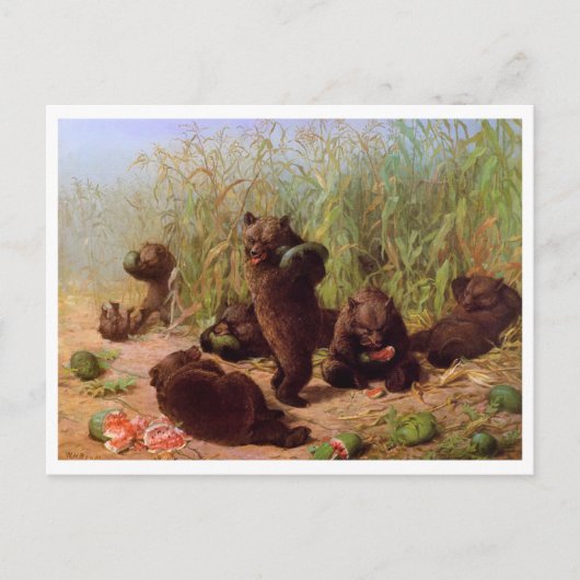 Carte Postale William H. Beard, Les ours dans le champ de pastèq (Devant)