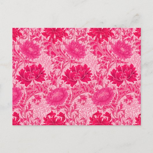 Carte Postale William Morris Chrysanthemums, Fuchsia Pink (Devant)