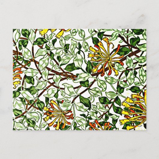 Carte Postale William Morris - Honeysuckie vert et jaune (Devant)