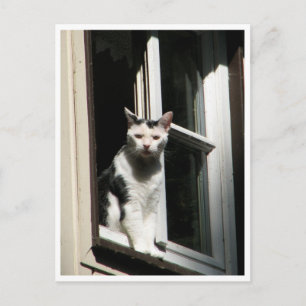 Carte Postale Willkommen im Cafè Rilke